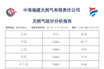 关于天然气组分分析报告12.03